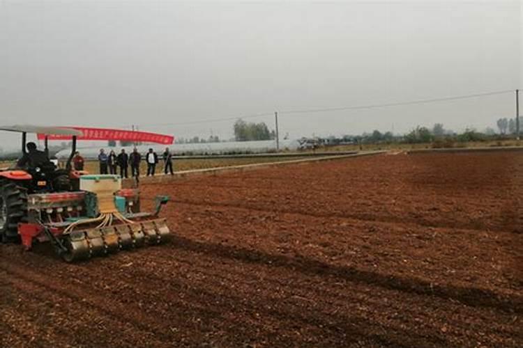 小麦种肥同播对肥料的要求