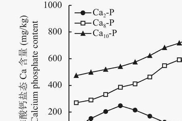 化肥N–P–K代表什么