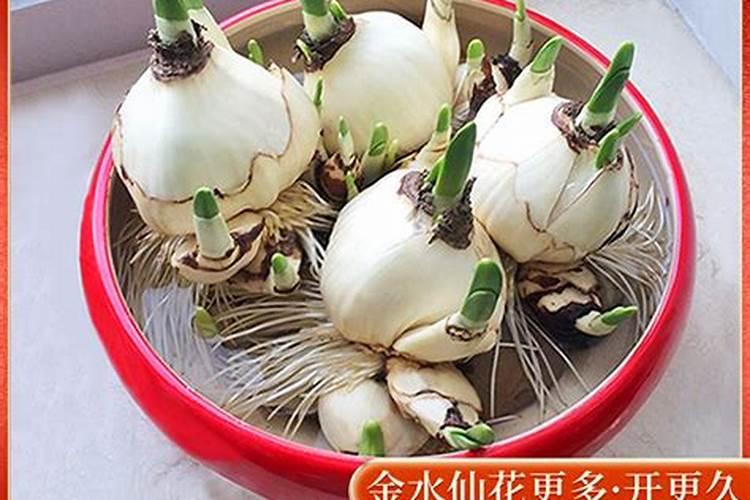 夏天都开哪些花开(夏季最常见的花介绍)