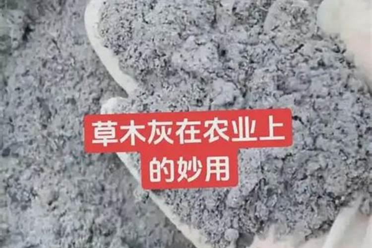 蟹塘老绿水快速处理方法