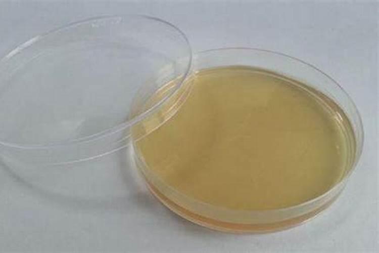 蘑菇怎么种植方法