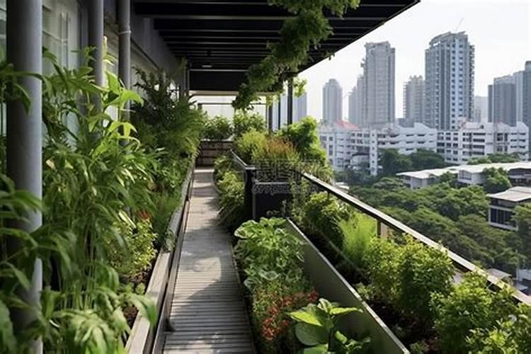 绿植夏天能施肥吗