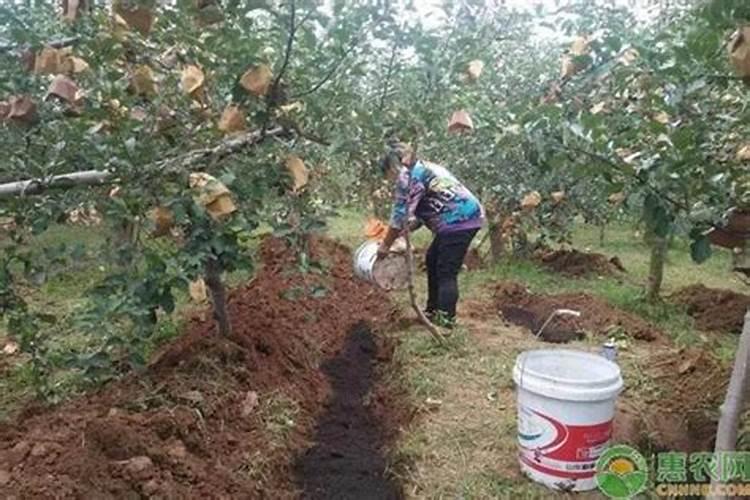 大面积土壤杀菌方法 土壤杀菌剂怎么正确使用