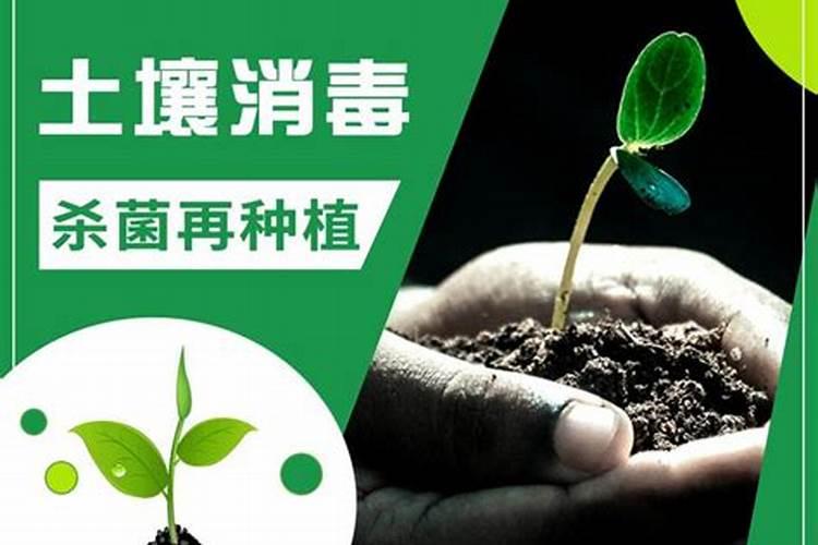 地里细菌用什么杀菌