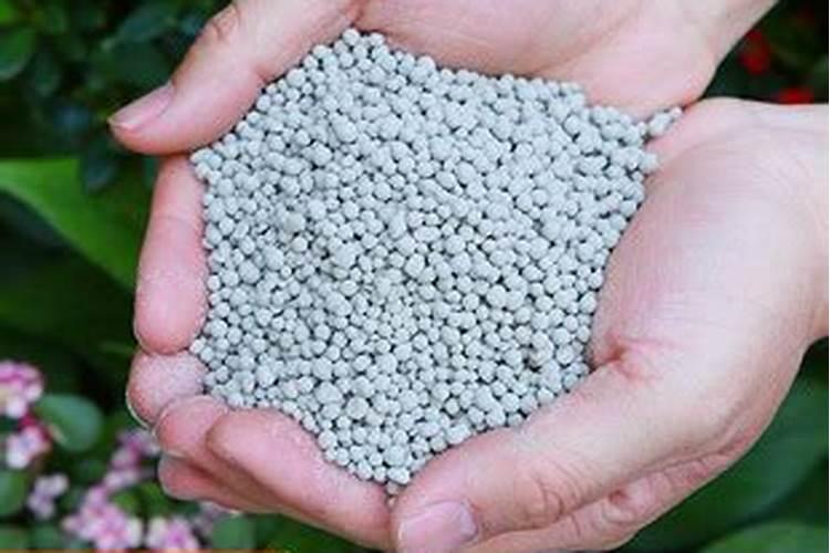 水稻钾肥的正确使用方法