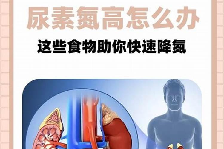 尿素肥料含什么成分？