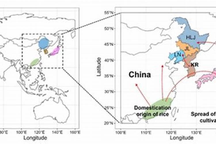 水稻遭逢药害,如何补救防治呢？