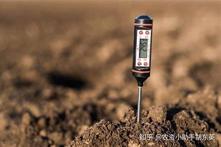 黄腐酸钾哪有卖的