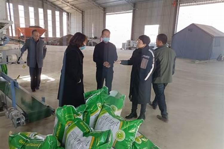 地栽月季用什么肥料好,地栽月季什么时候施肥用什么肥料