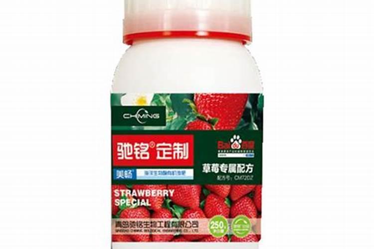 贵州凯里下司草莓基地电话