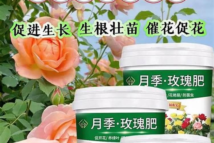 为了达到良好的催花效果,用哪种肥好