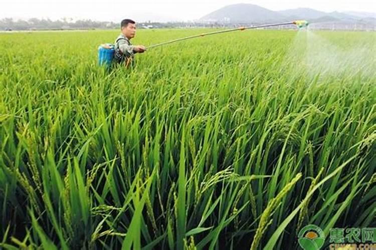 代森锰锌可以跟氮肥一起打吗？