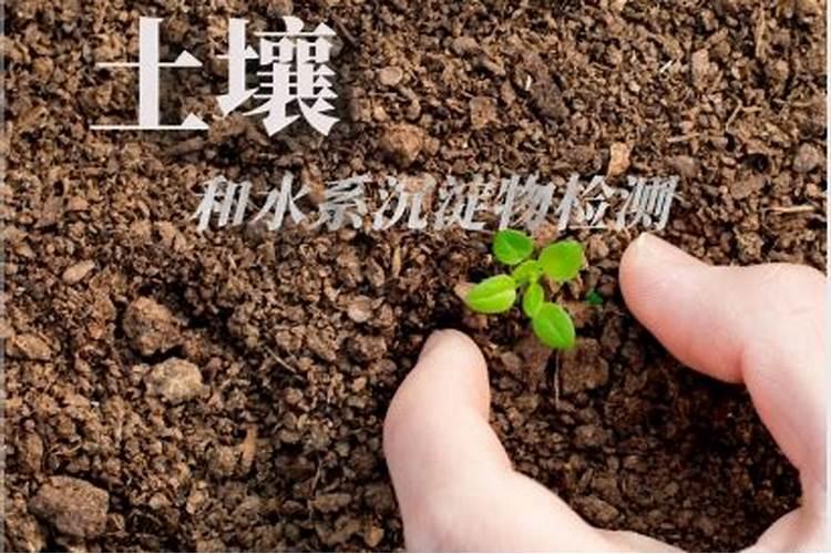 特种肥料和其它肥料有什么区别？