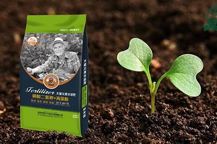 水稻高产用什么肥料效果好？