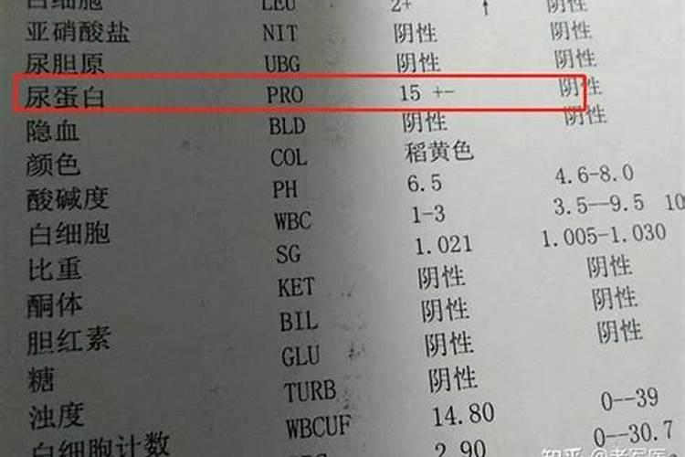 平衡肥都含什么成分