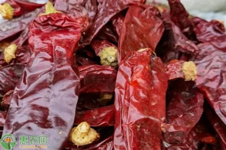 盐碱地种植板椒怎样施肥