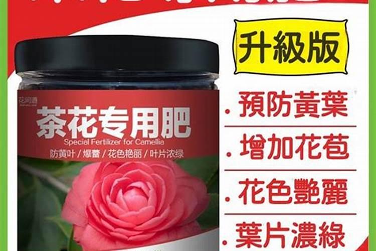 茶花用什么肥料好,茶花的四季施肥方法