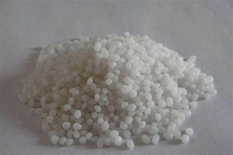 蟹爪兰施什么肥