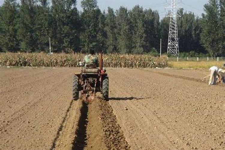 小麦底肥施啥复合肥好