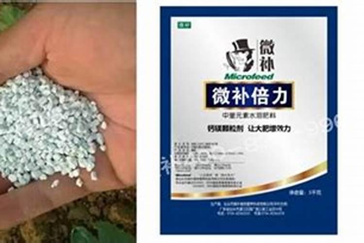 钙肥有哪些品种？如何施用？