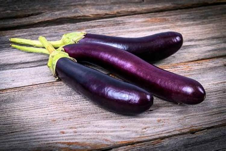 种茄子的方法和步骤