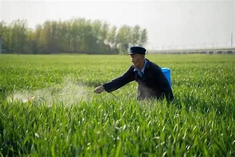 王祯发明了什么