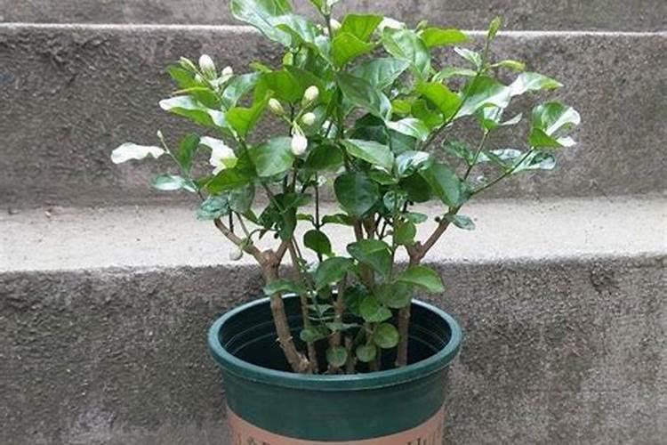 萍乡市政府附近那里有菜市场