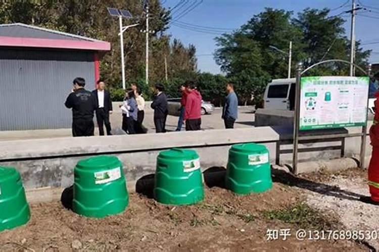 橡皮树换盆多久后浇水 橡皮树换盆后需要多久才能浇水