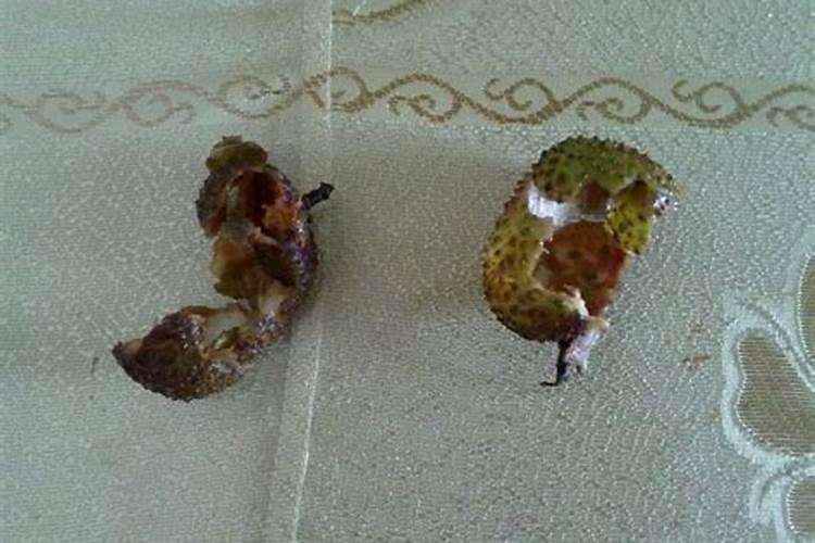 开一个干洗店都需要什么设备？