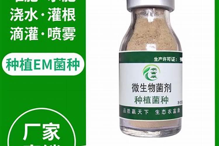 用花生麸制作水溶肥方法