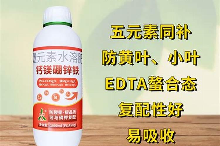 黄瓜喷施钙镁肥最佳时间