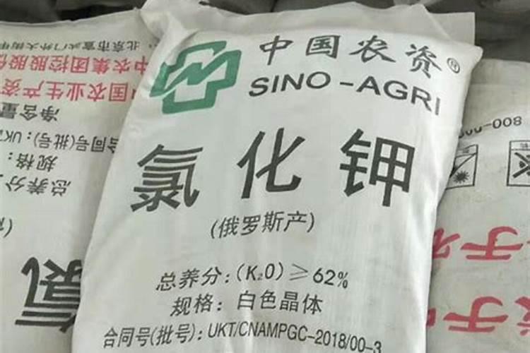 有机肥多少钱一吨