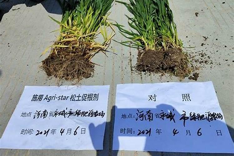 果树雨水过多能不能施水溶肥？