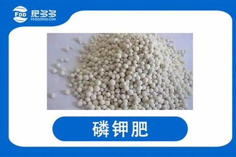 自制磷钾肥的方法,磷钾肥有哪些