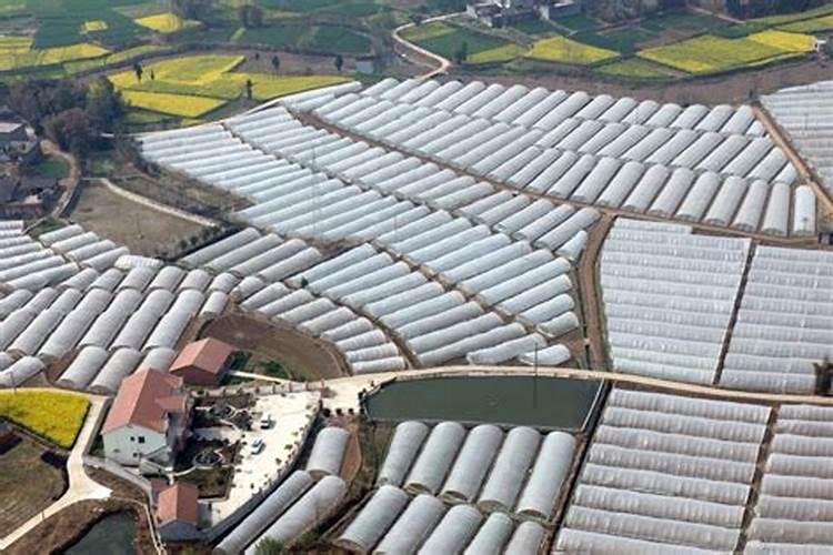 四川中江杀虫灯政府有补贴吗