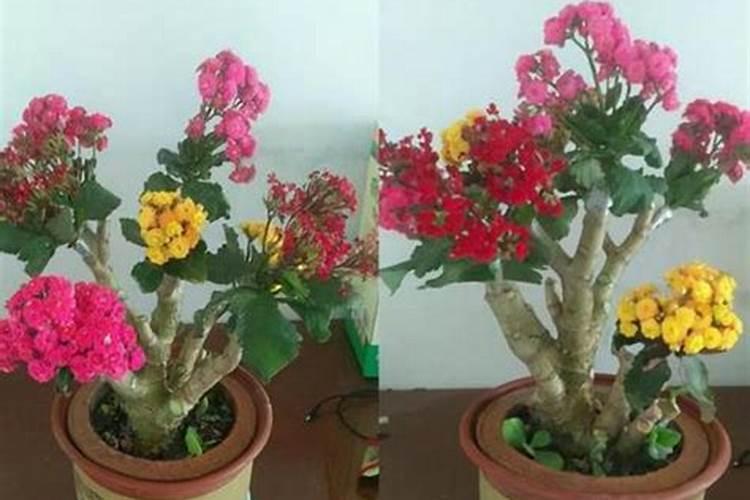 秋季施肥肥料混用禁忌,千万要记住!