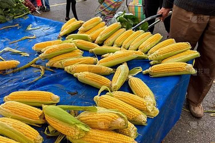 一亩地玉米30斤水,应该加,大量元素水溶肥多少克