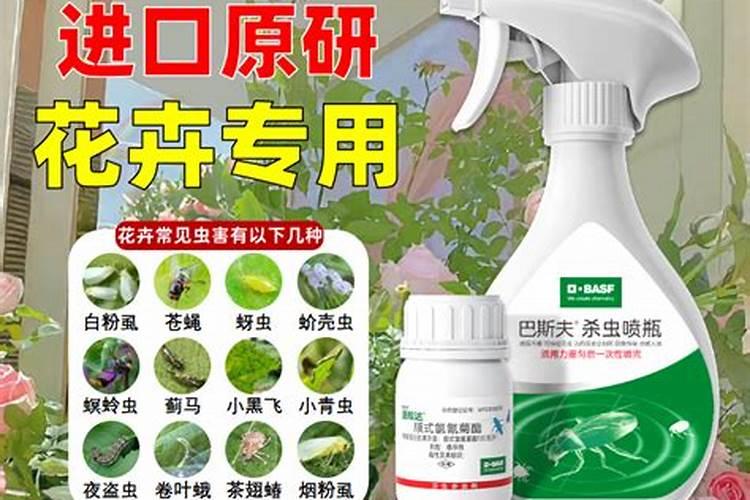 植物杀菌剂哪种最好