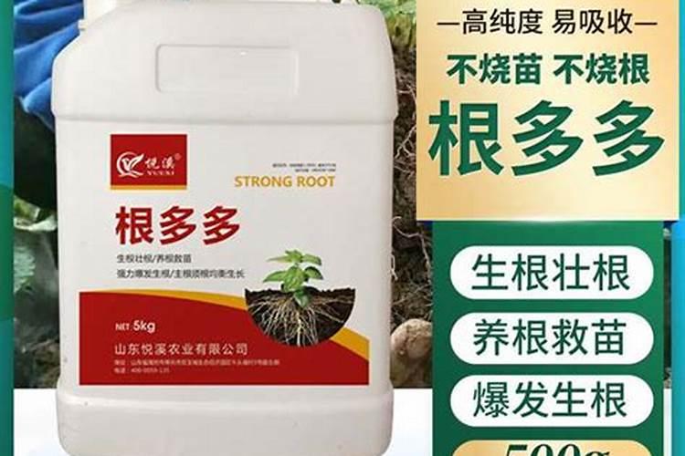 新载的树苗用什么营养液好