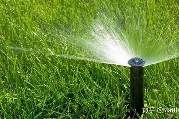 草坪的最佳施肥时期在什么时候