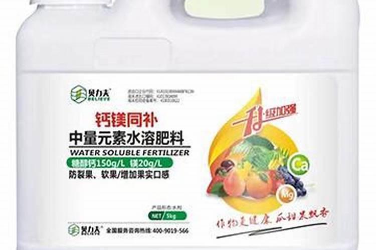 洋葱怎样种植才能得到又大又好