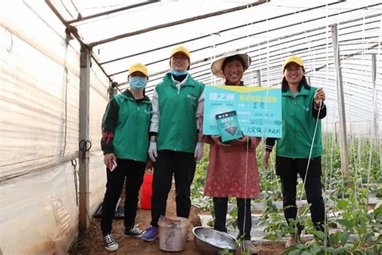 磷酸二氢钾的使用方法和用量