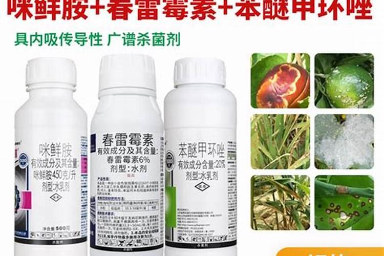 要达到最佳效果,春雷霉素应与什么杀菌剂复配？