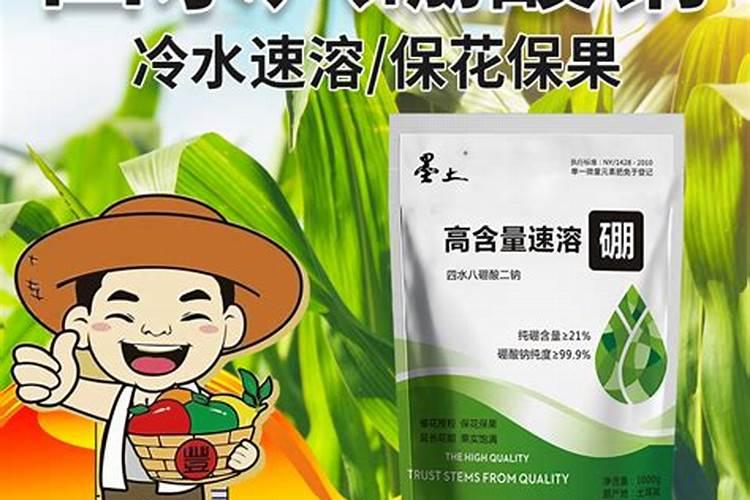 流体硼肥根施的用量