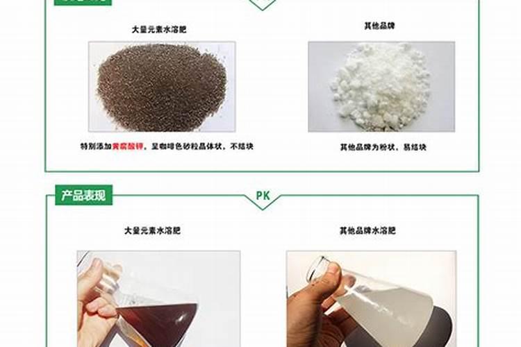 迷迭香施肥选什么肥料