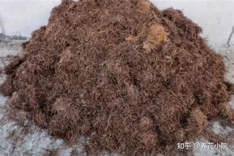 桃子快熟了落果怎么办