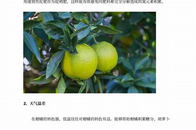 马水桔现在有点返青怎么办？