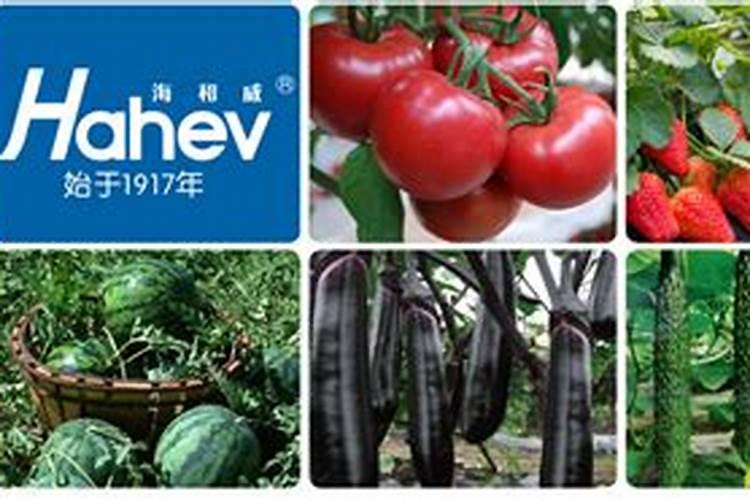 最好的冲施肥增效剂生产厂家有哪些？