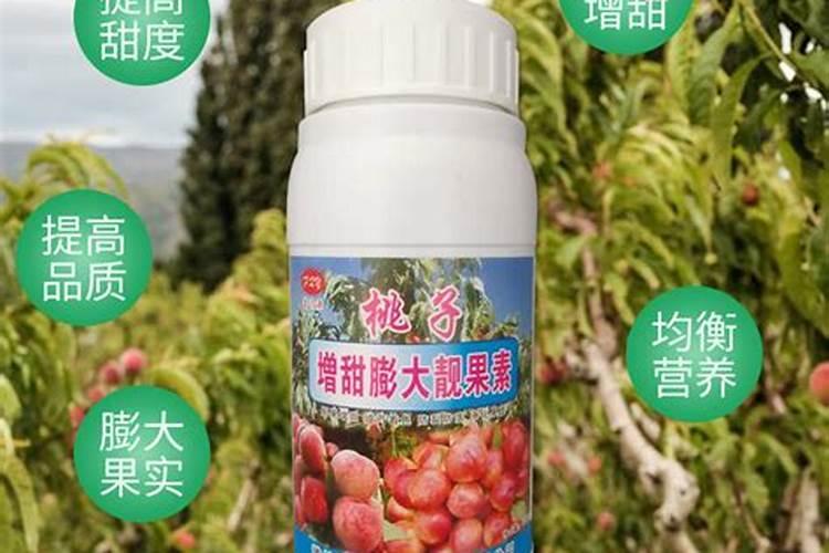 桃树膨大期专用增产叶面肥料？桃树结果期用哪种水溶肥效果好？