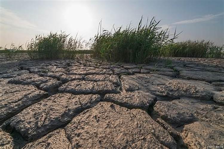 肥料施入土壤后多久能见效(肥料放在土里有效期是多久)